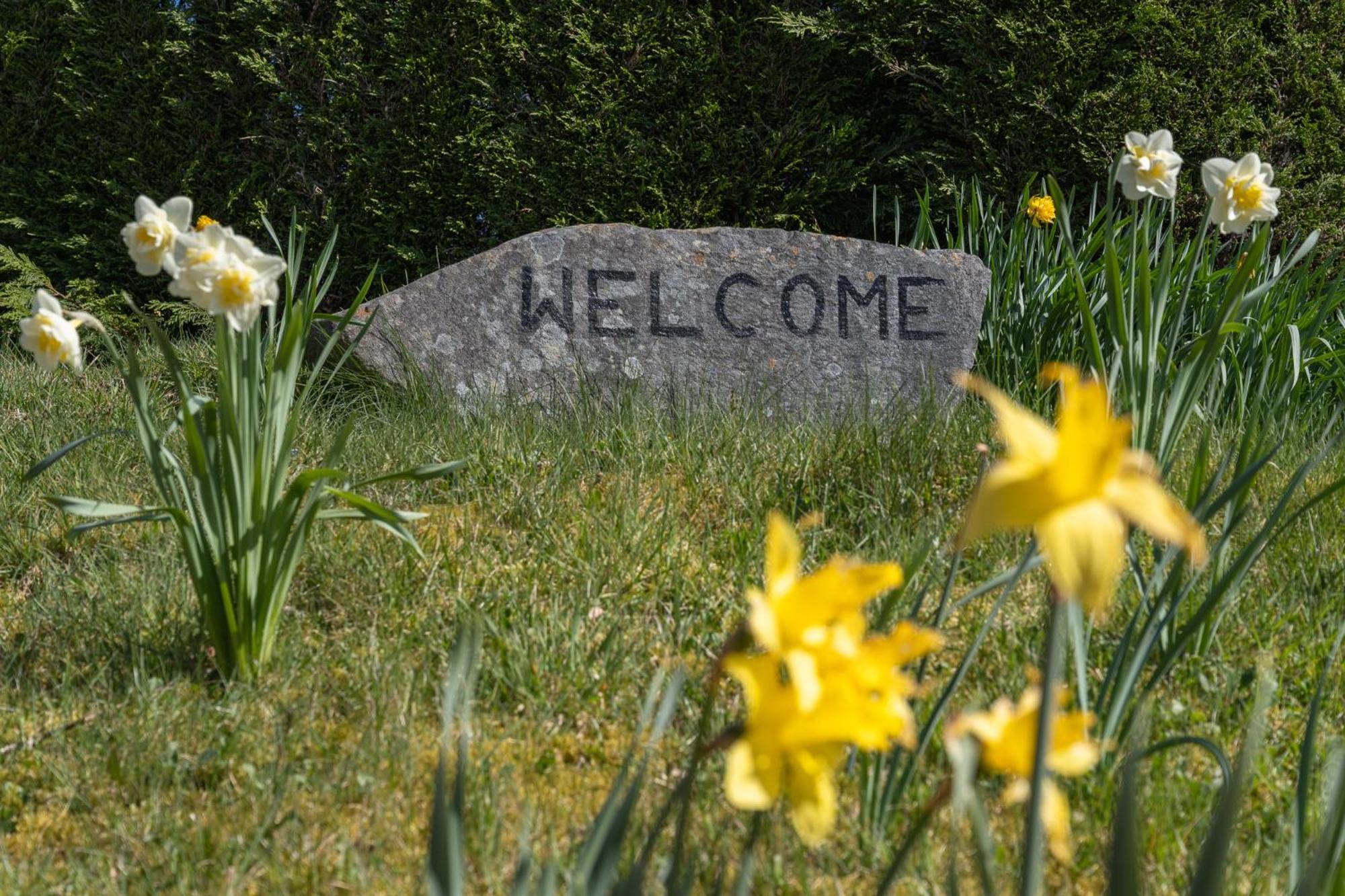 Mizpah Bed & Breakfast Near Ben Nevis Highlands Roybridge Exteriér fotografie